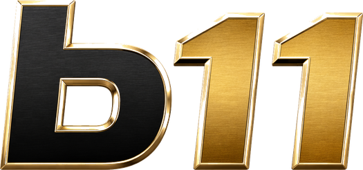 b11